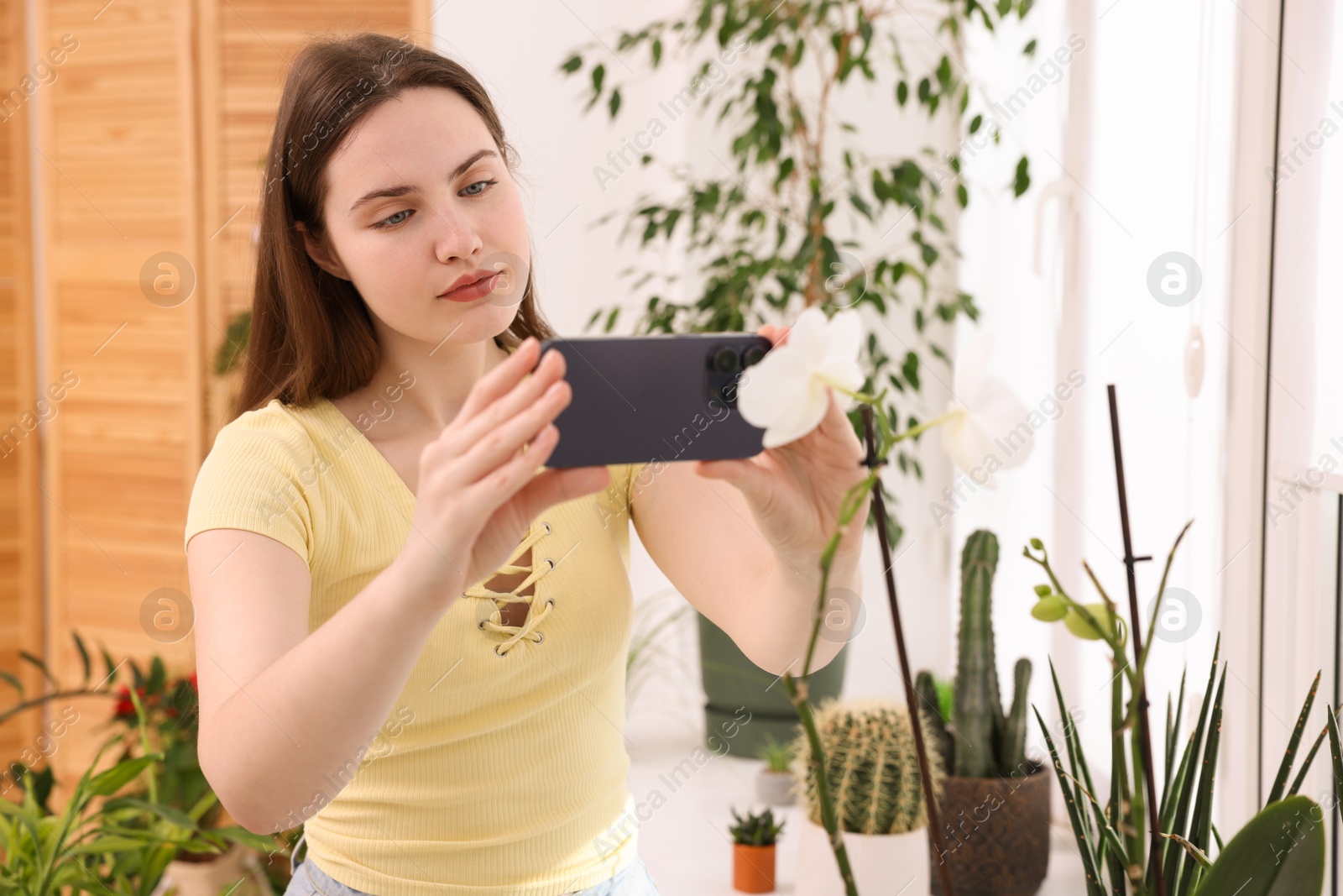 Photo of Woman using houseplant recognition application on smartphone indoors