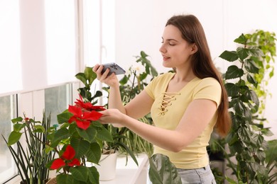 Photo of Woman using houseplant recognition application on smartphone at window sill indoors