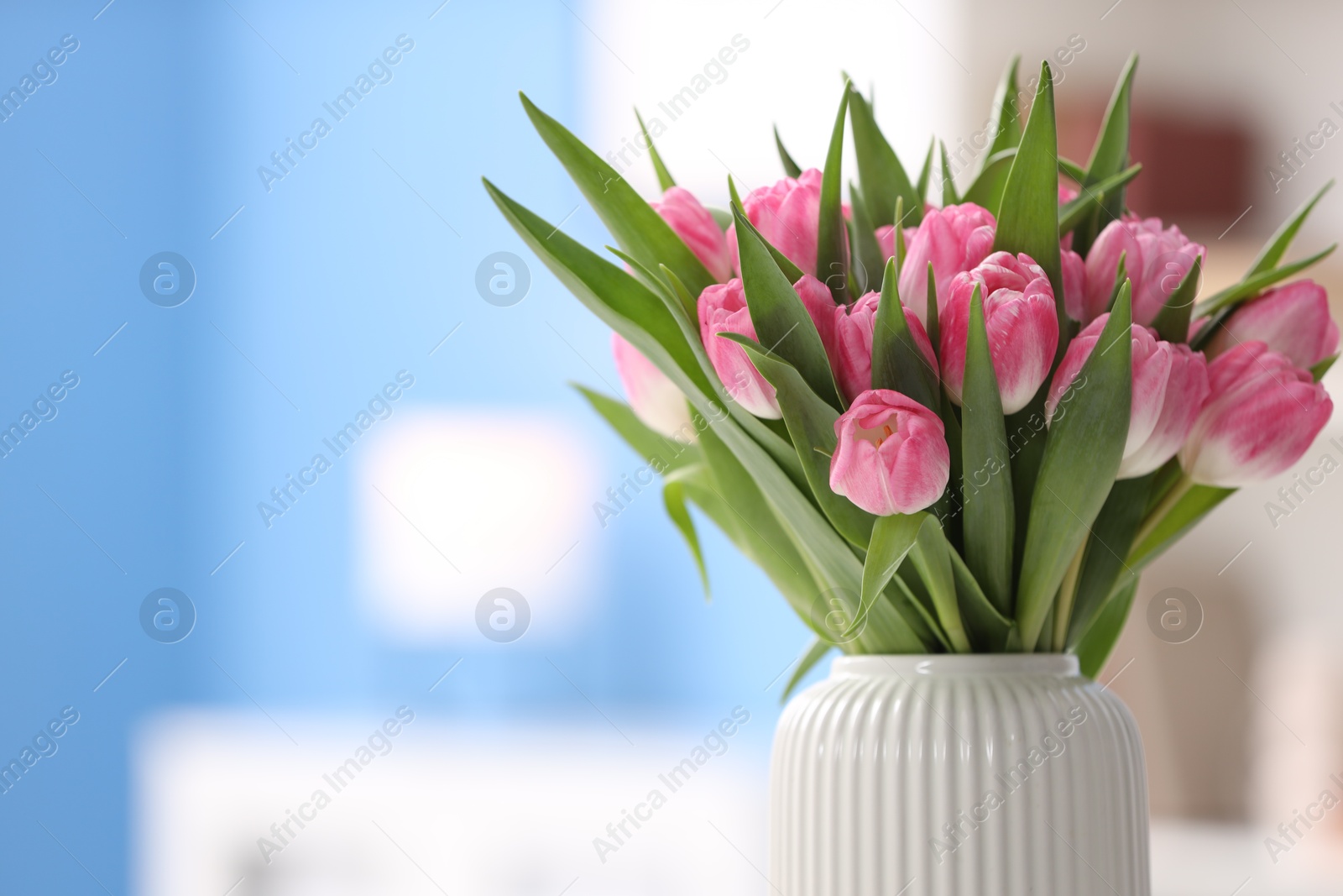 Photo of Bouquet of beautiful tulips in vase indoors, closeup. Space for text