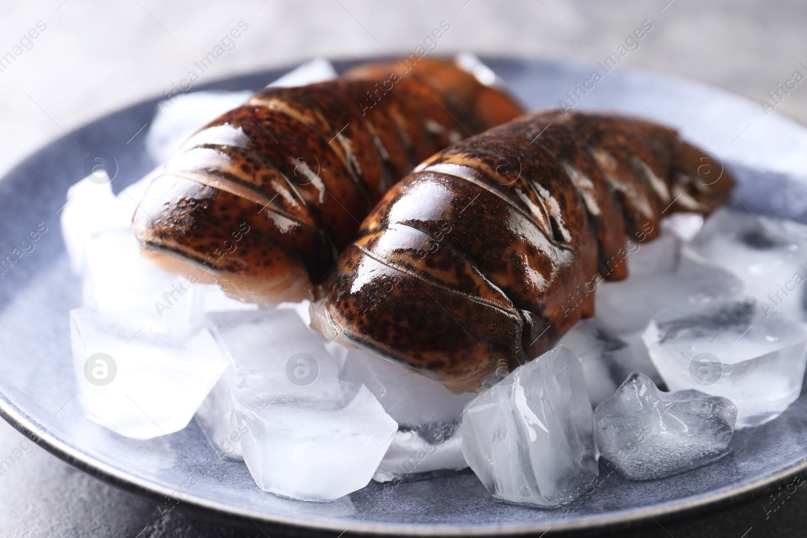 Raw lobster tails with ice on table, closeup Photo of Raw lobster tails with ice on table, closeup