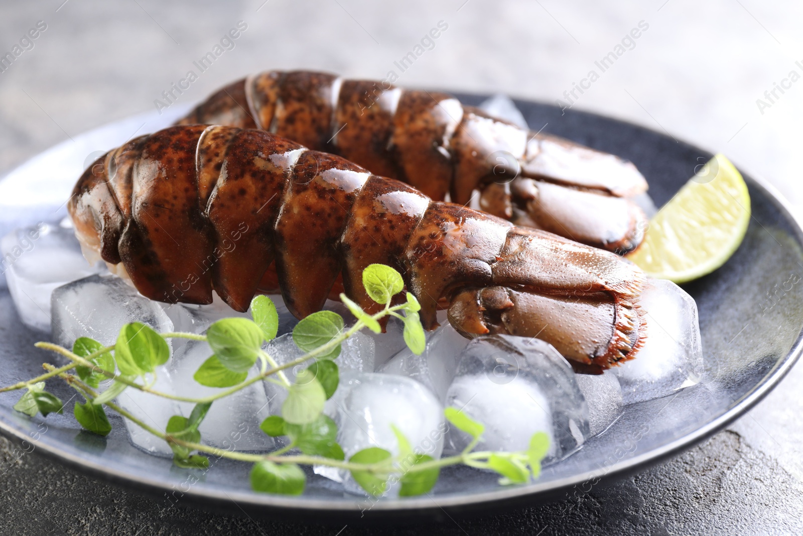 Raw lobster tails with microgreens, lime and ice on table, closeup Photo of Raw lobster tails with microgreens, lime and ice on table, closeup