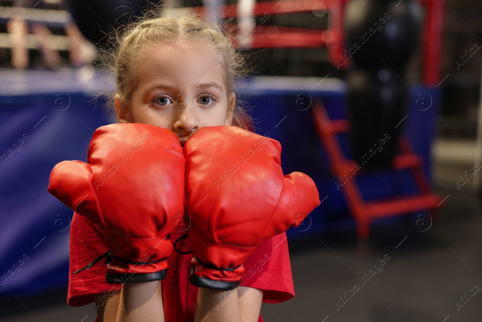 Photo of Boxing. Girl in protective gloves at training center. Space for text