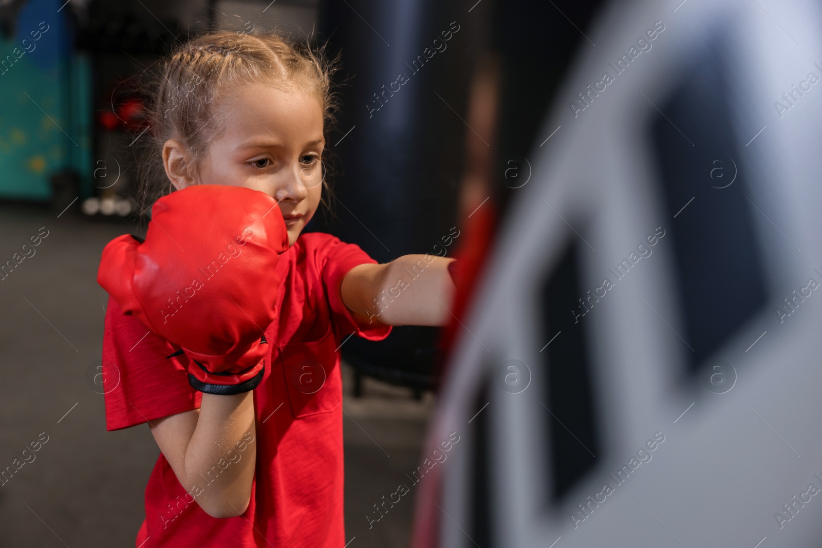 Photo of Girl in protective gloves having boxing practice indoors