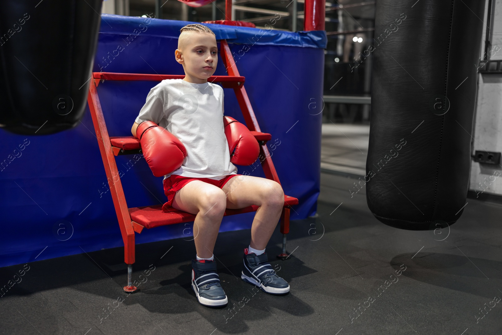 Photo of Boy in protective gloves sitting near boxing ring