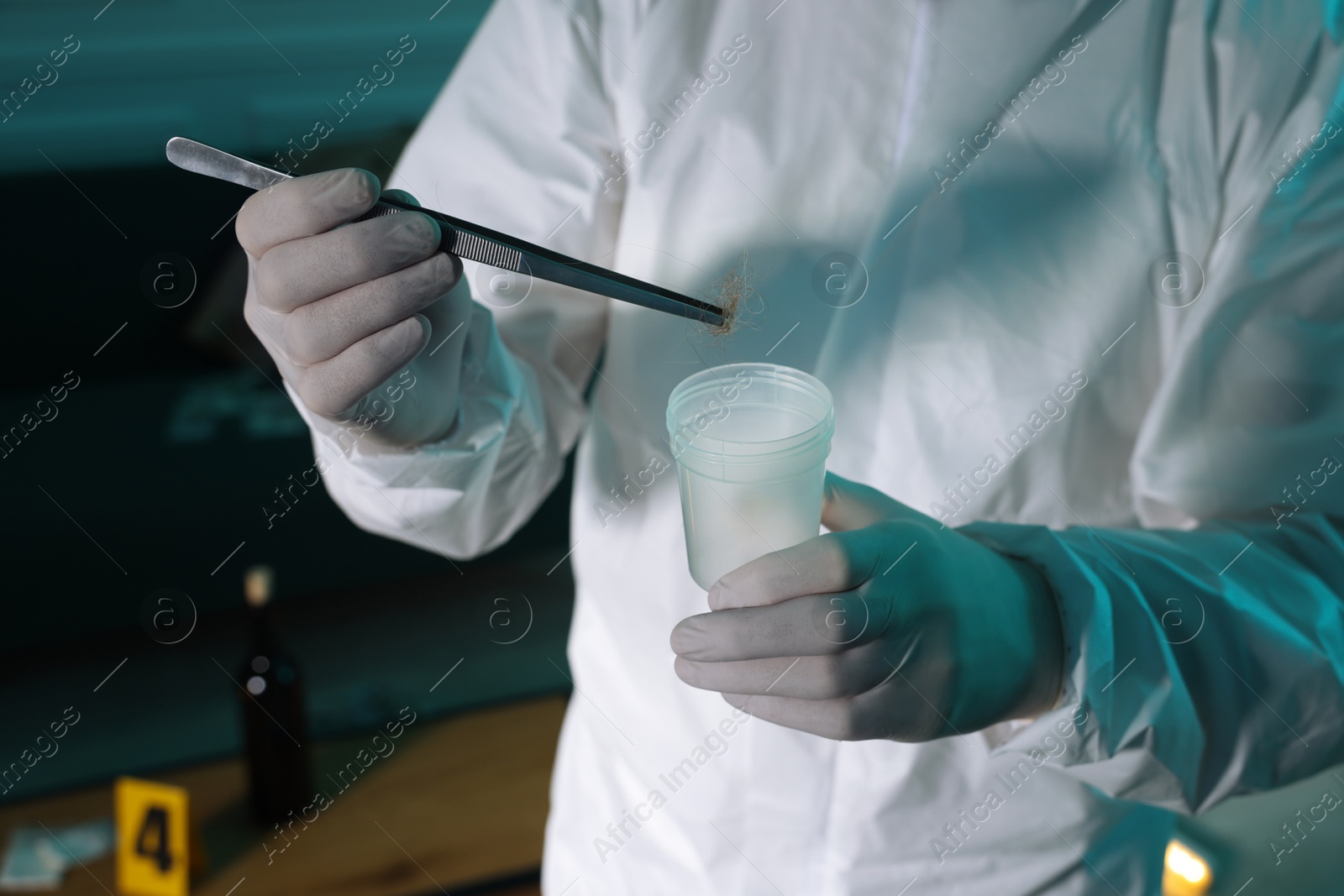 Photo of Forensic expert with tweezers collecting hair into container indoors, closeup