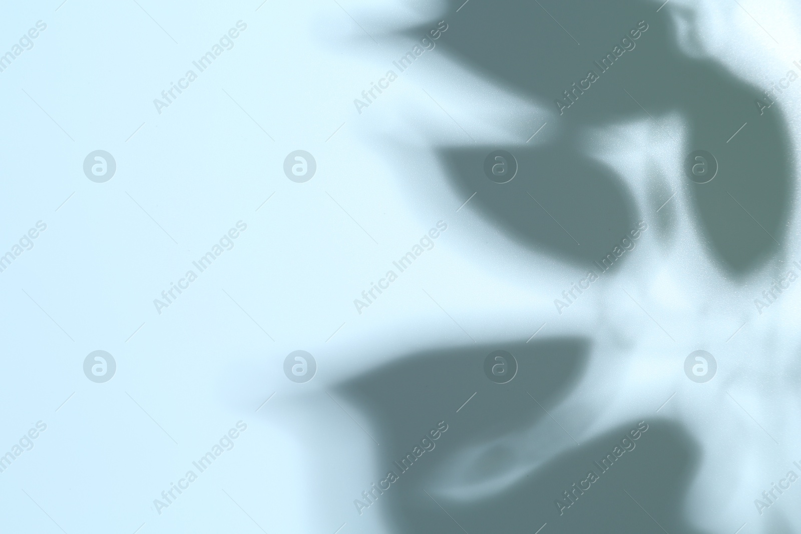 Photo of Light and shadows falling on white background