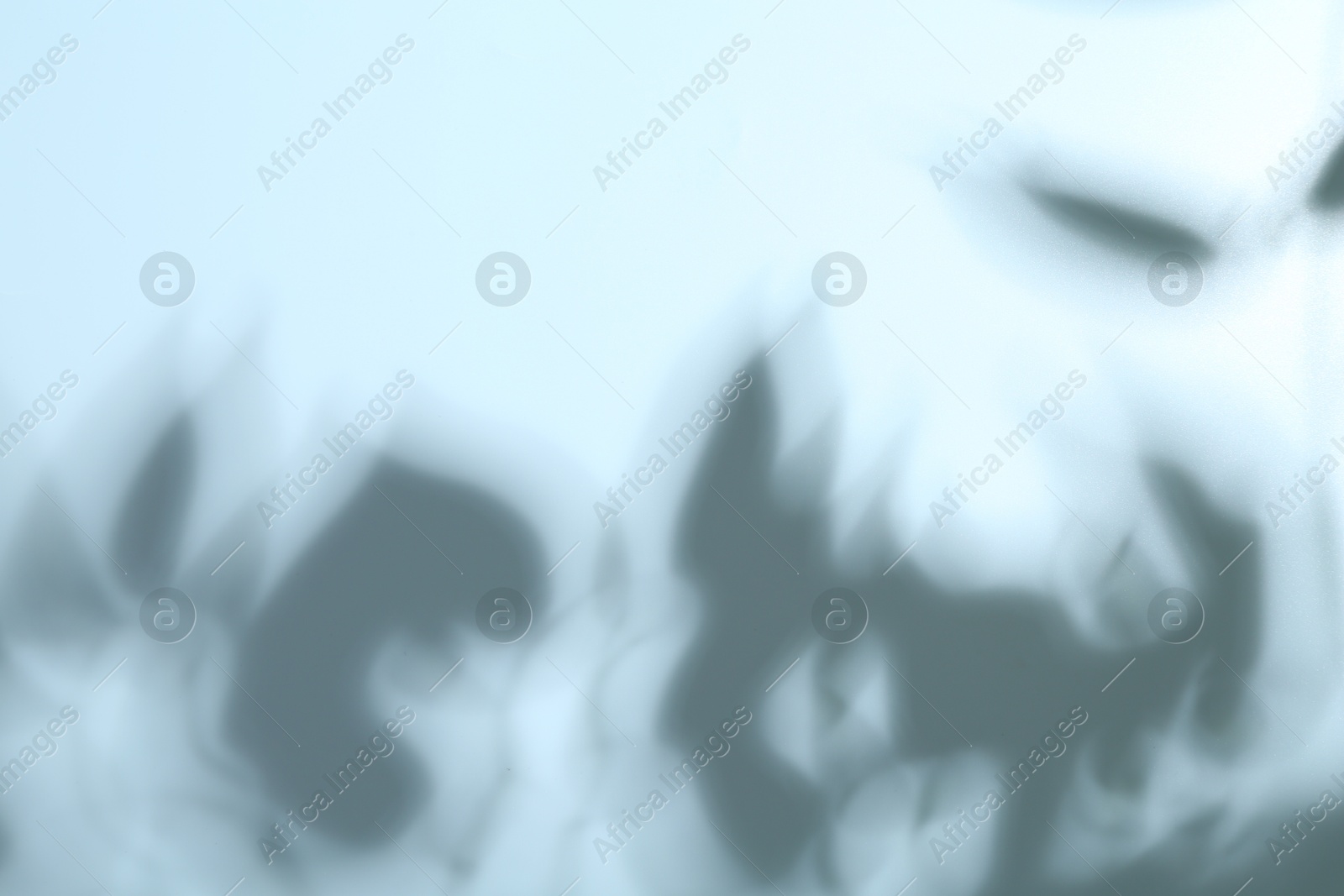 Photo of Light and shadows falling on white background