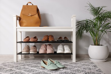 Photo of Stand with different stylish shoes, bag and houseplant indoors