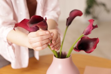 Photo of Woman with bouquet of calla lily flowers at table indoors, closeup