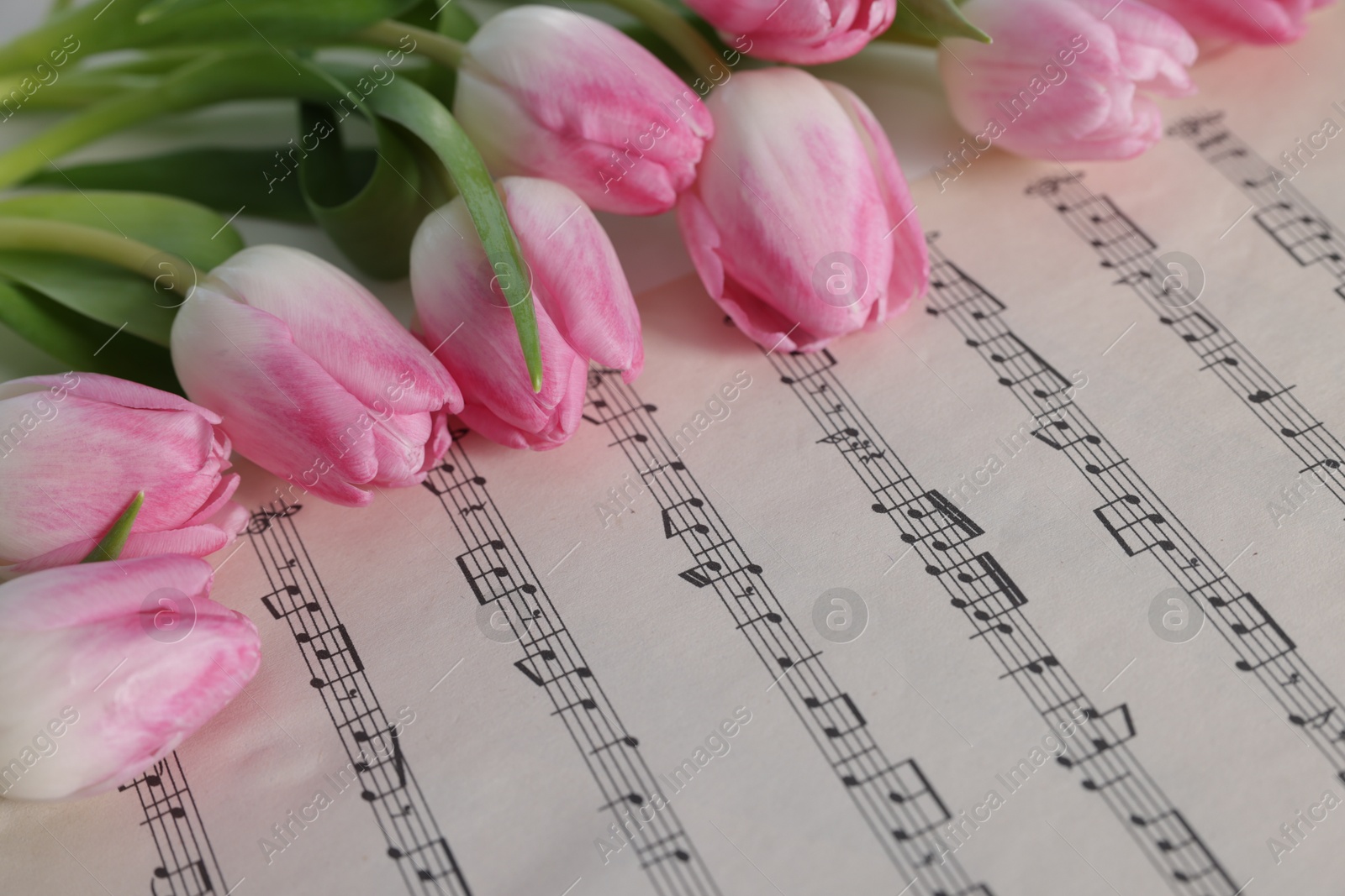 Photo of Beautiful tulips on sheet with music notes, closeup