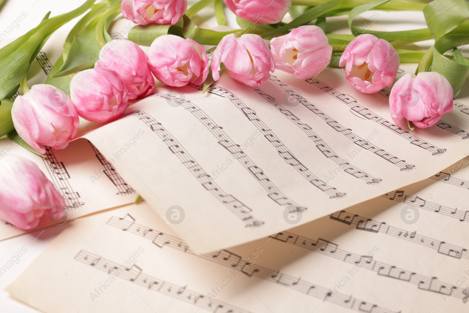 Photo of Beautiful tulips on sheets with music notes, closeup