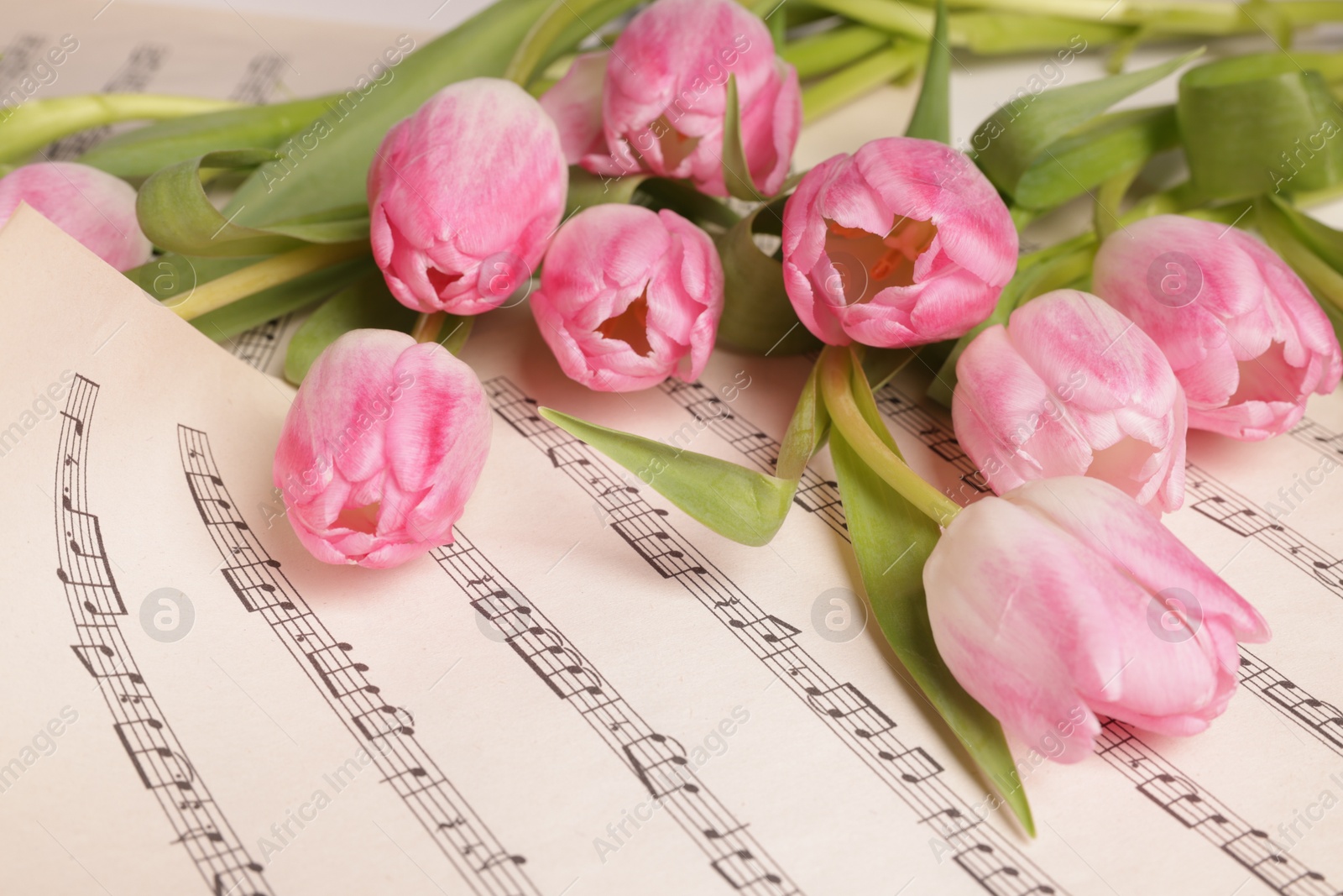 Photo of Beautiful tulips on sheets with music notes, closeup