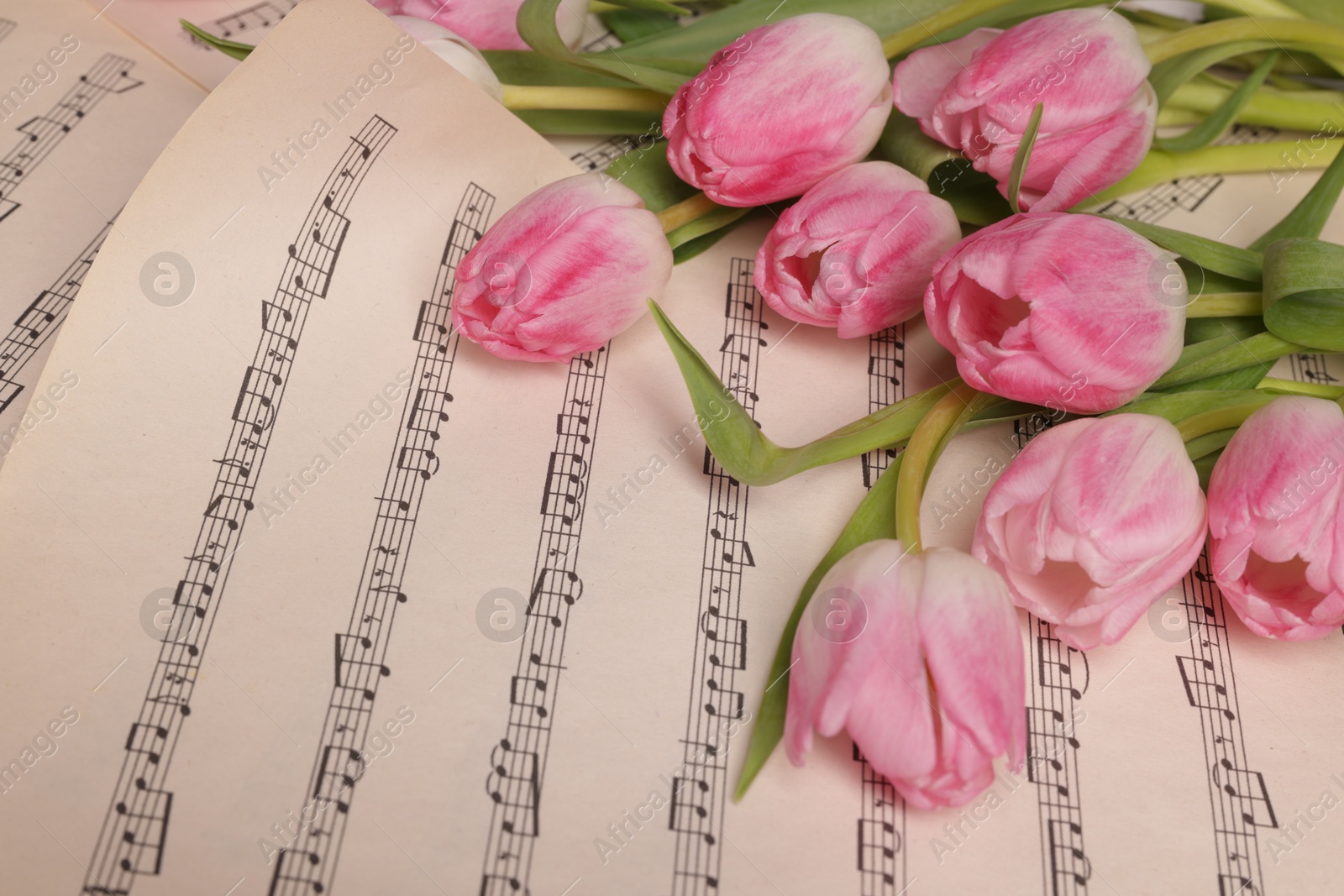 Photo of Beautiful tulips on sheets with music notes, above view