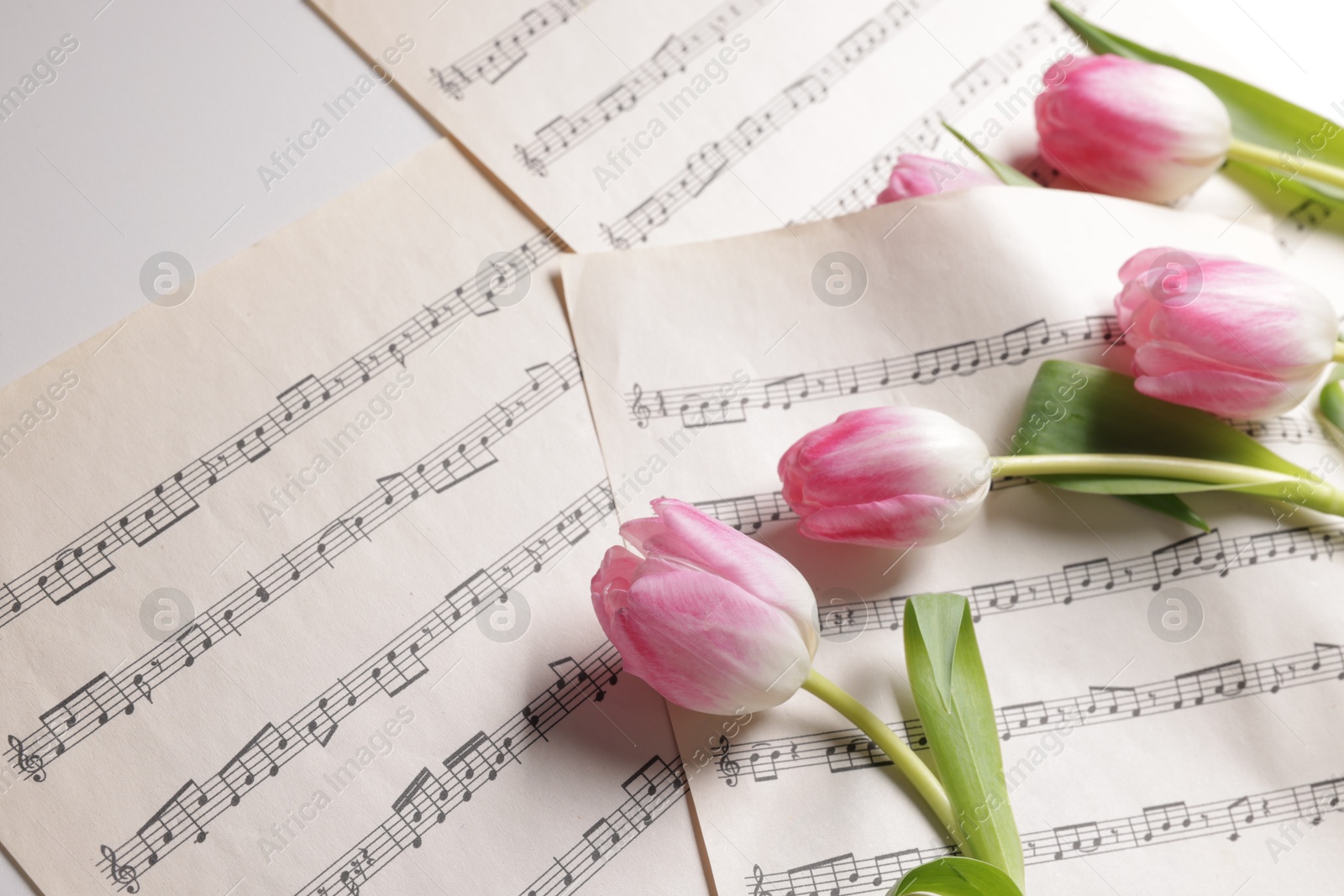 Photo of Beautiful tulips and sheets with music notes on white table, above view