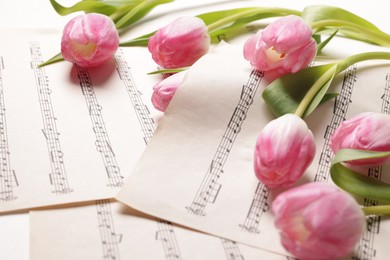 Beautiful tulips on sheets with music notes, closeup