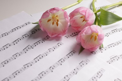 Photo of Beautiful tulips and sheets with music notes on white table, closeup