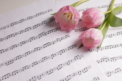 Beautiful tulips and sheets with music notes on white table, above view