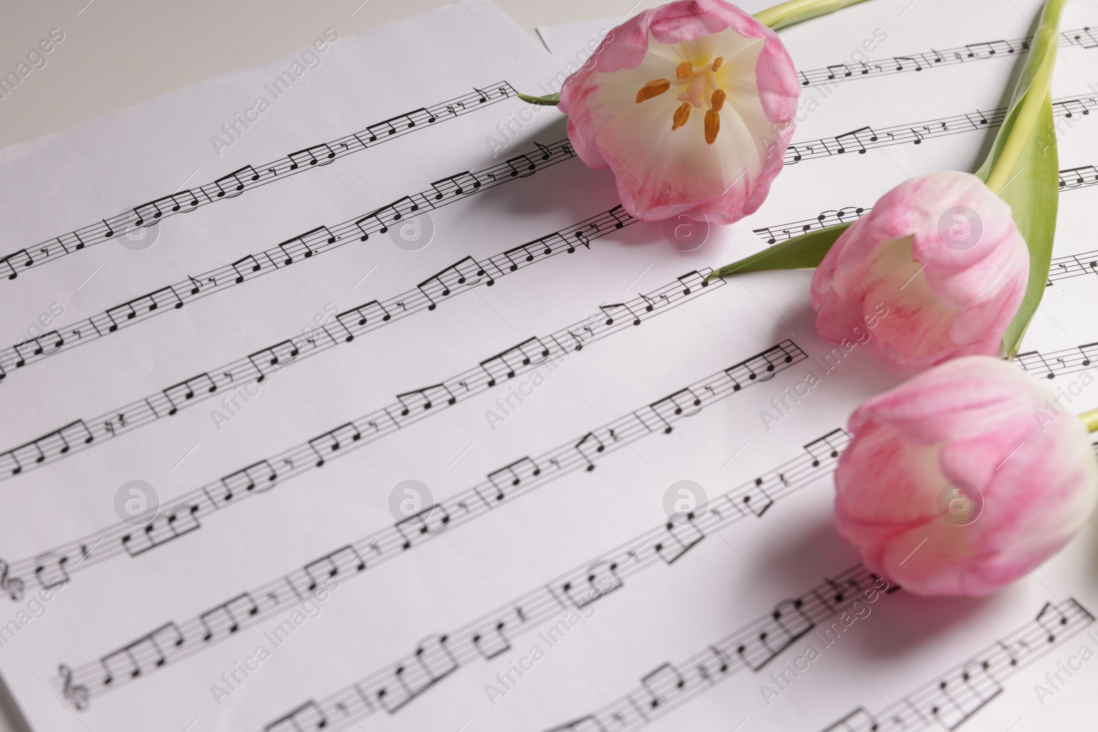 Photo of Beautiful tulips and sheets with music notes on white table, closeup