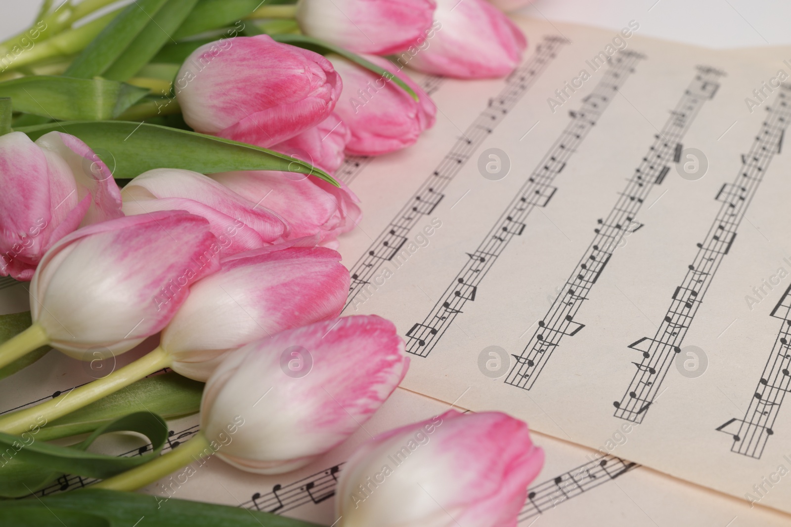 Photo of Beautiful tulips on sheets with music notes, closeup