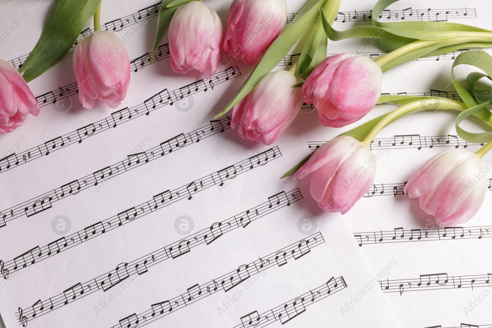 Photo of Beautiful tulips on sheets with music notes, top view