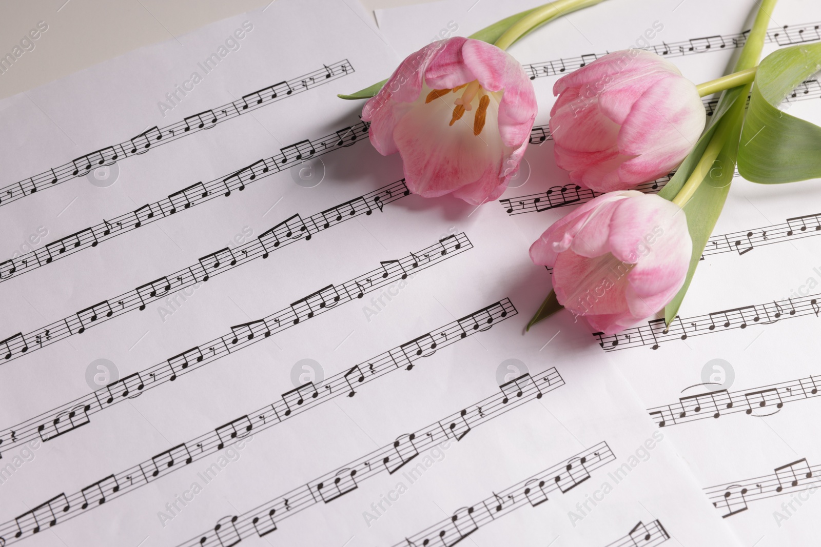 Photo of Beautiful tulips and sheets with music notes on white table, top view