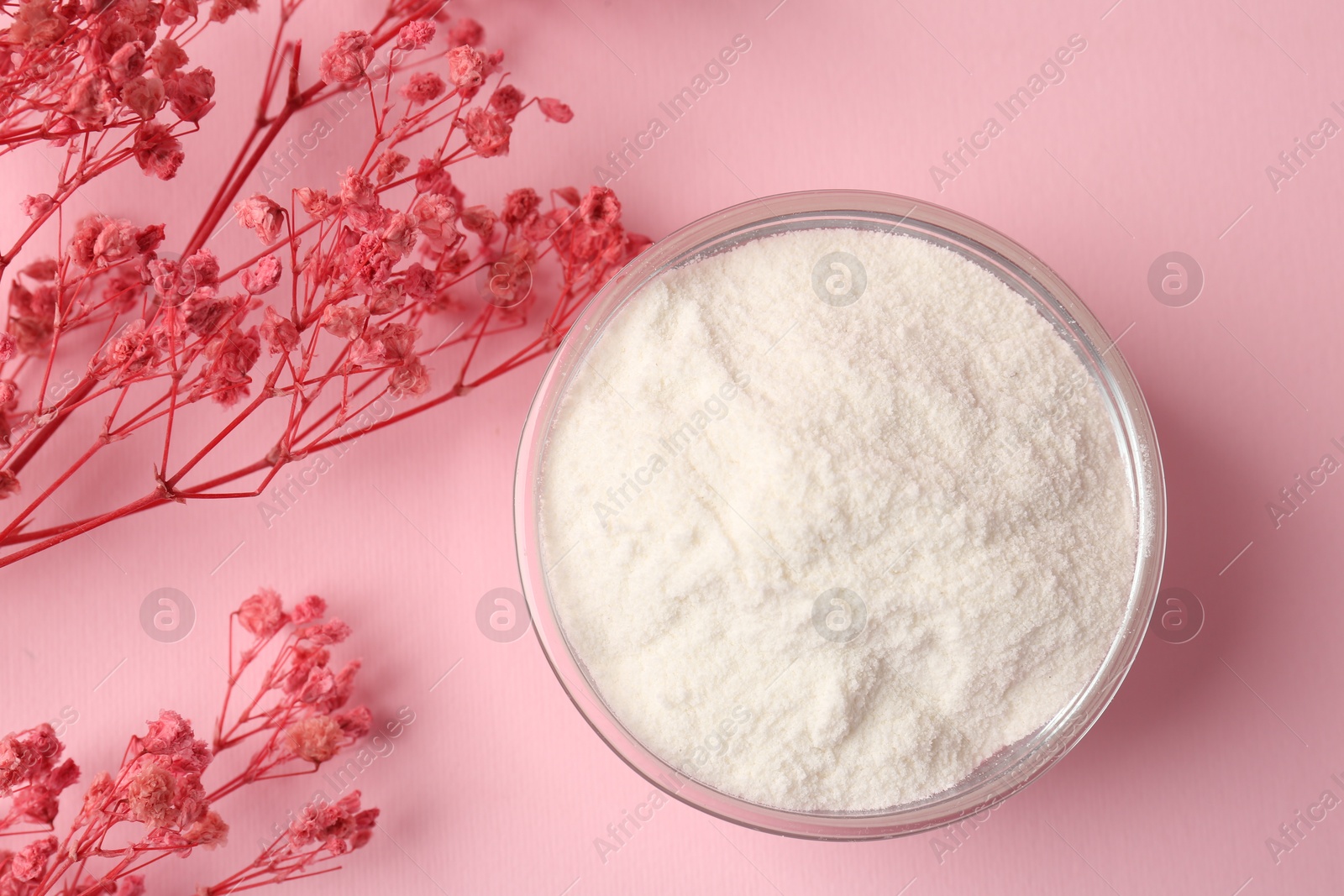 Collagen powder in bowl and gypsophila branches on pink background, flat lay Photo of Collagen powder in bowl and gypsophila branches on pink background, flat lay