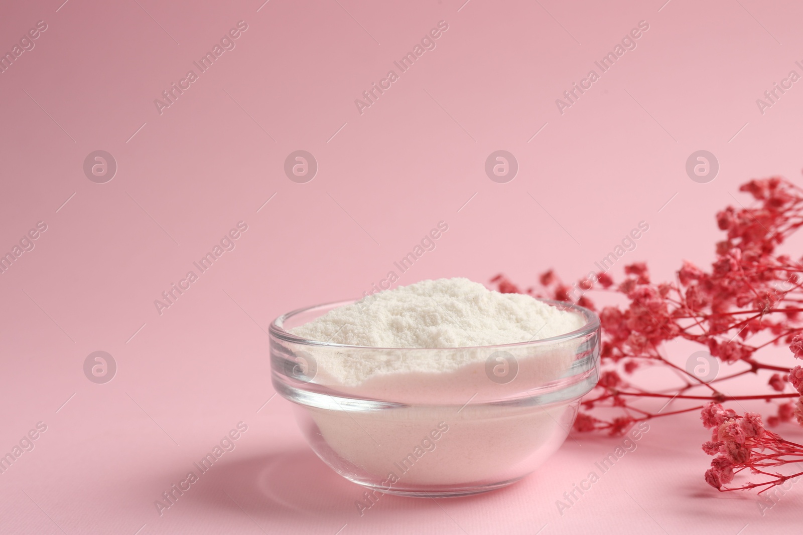 Collagen powder in bowl and gypsophila branches on pink background, closeup. Space for text Photo of Collagen powder in bowl and gypsophila branches on pink background, closeup. Space for text