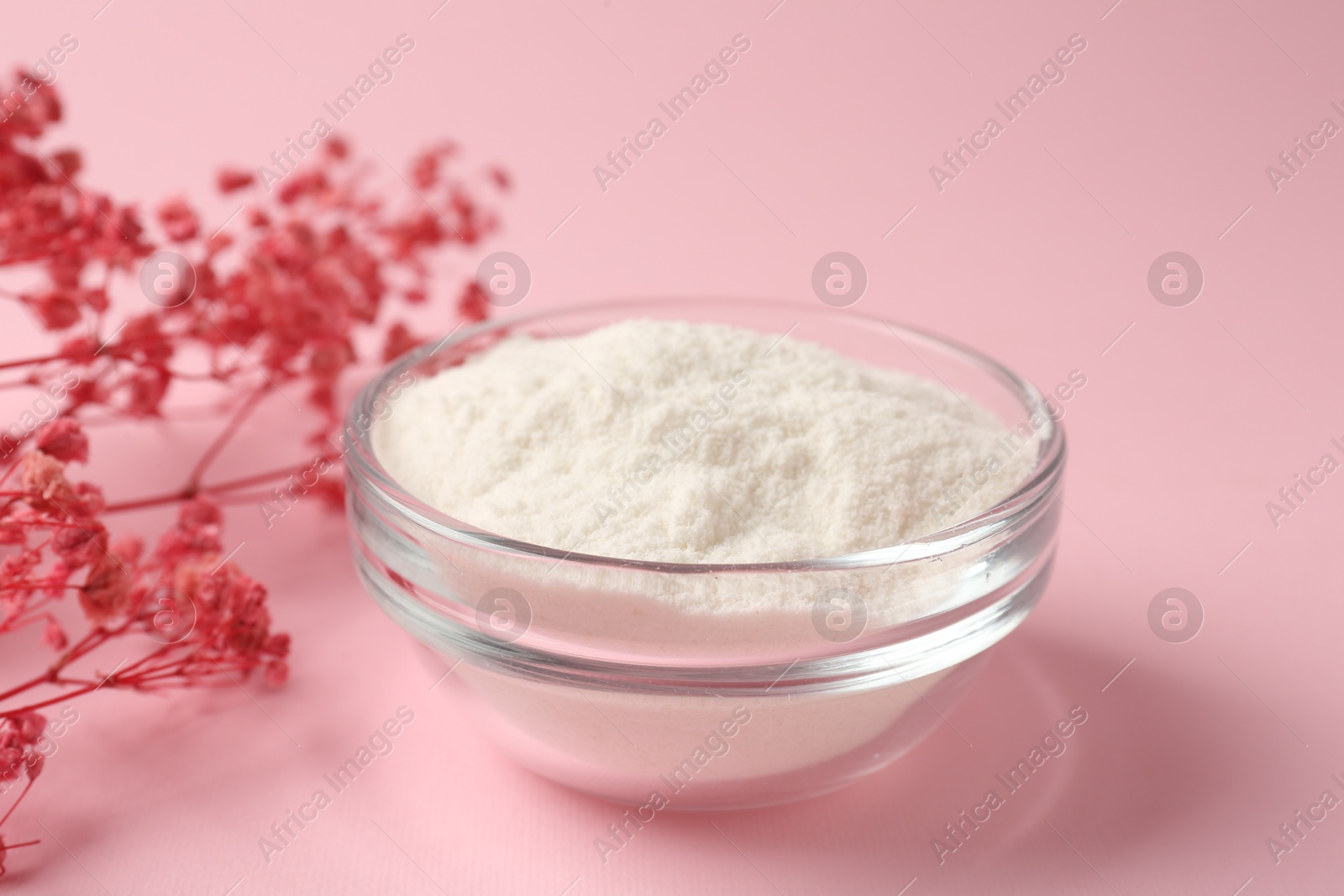 Collagen powder in bowl and gypsophila branches on pink background, closeup Photo of Collagen powder in bowl and gypsophila branches on pink background, closeup