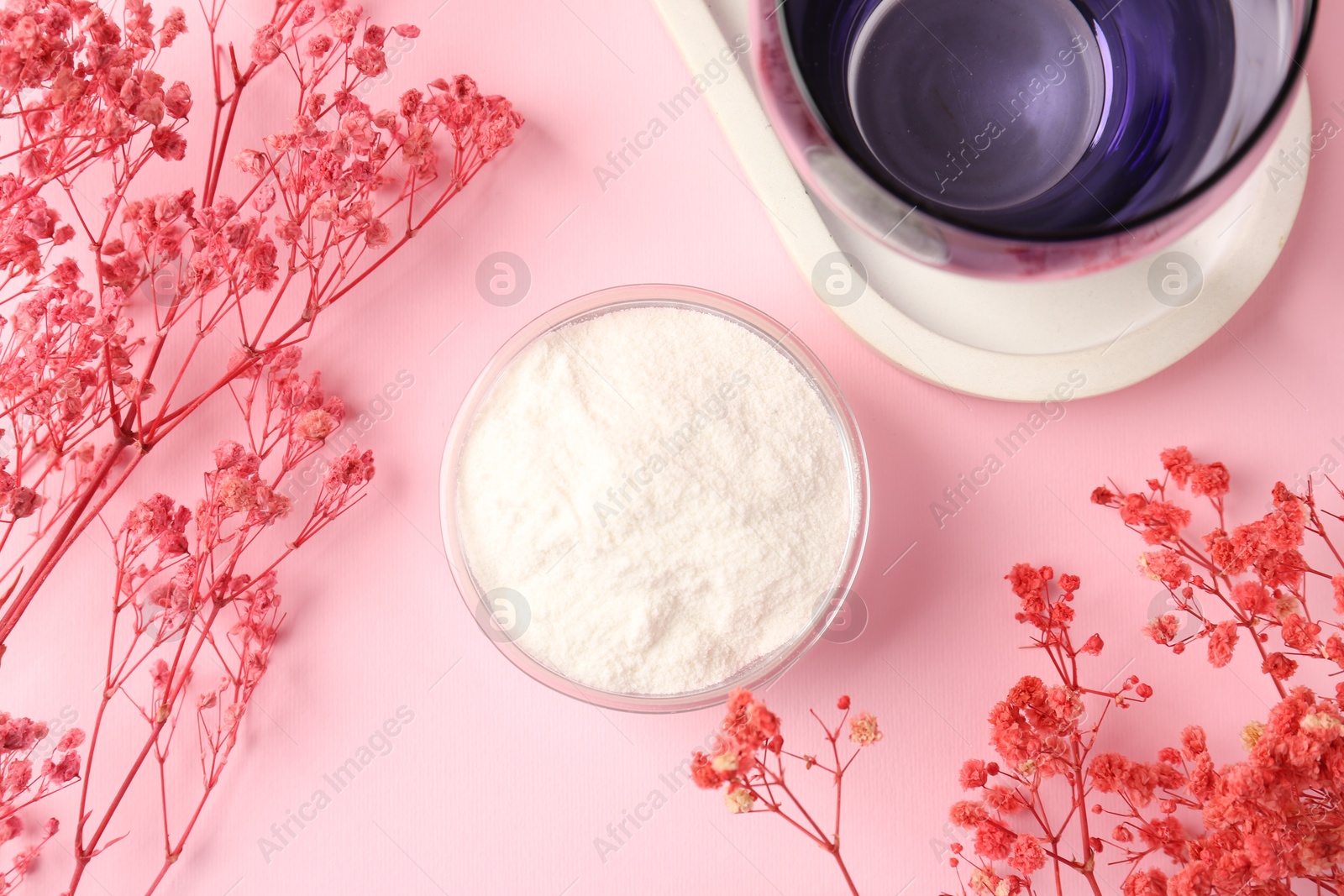 Collagen powder in bowl, glass and gypsophila branches on pink background, flat lay Photo of Collagen powder in bowl, glass and gypsophila branches on pink background, flat lay