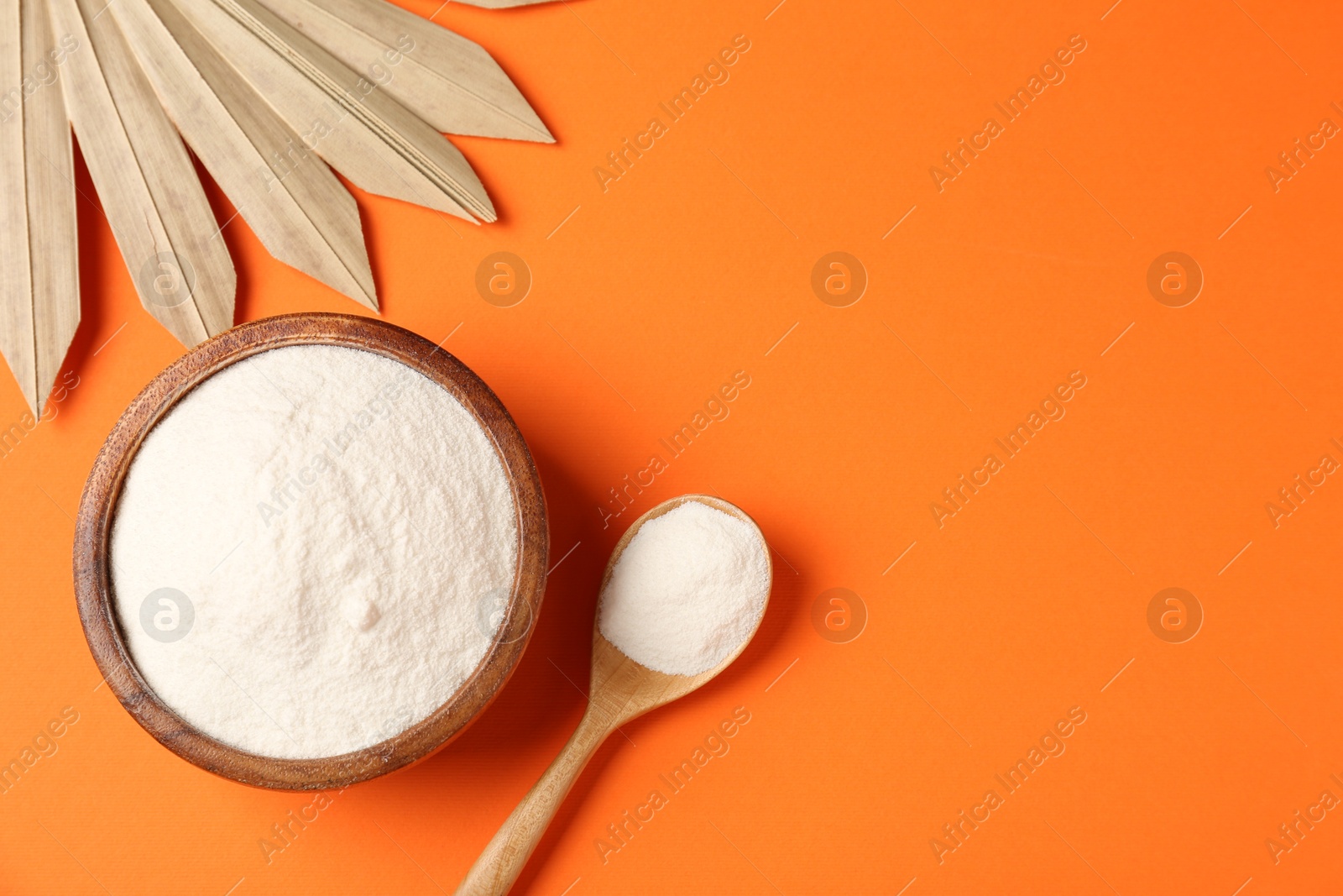 Collagen powder in bowl, spoon and dry palm leaf on orange background, flat lay. Space for text Photo of Collagen powder in bowl, spoon and dry palm leaf on orange background, flat lay. Space for text