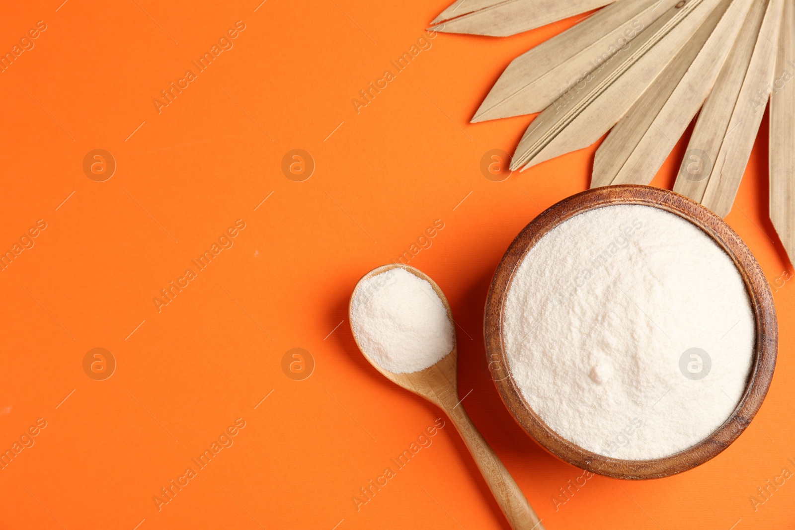 Collagen powder in bowl, spoon and dry palm leaf on orange background, flat lay. Space for text Photo of Collagen powder in bowl, spoon and dry palm leaf on orange background, flat lay. Space for text