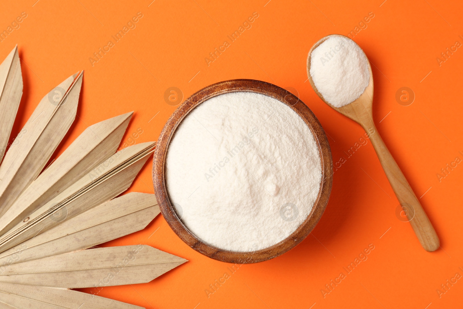 Collagen powder in bowl, spoon and dry palm leaf on orange background, flat lay Photo of Collagen powder in bowl, spoon and dry palm leaf on orange background, flat lay
