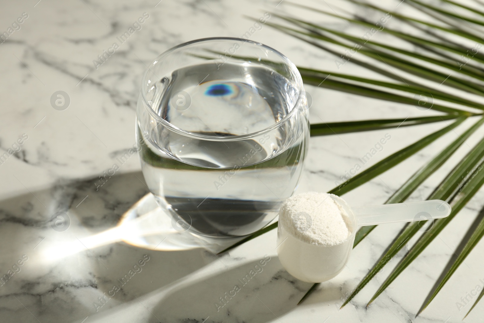 Collagen powder in scoop, glass of water and palm leaf on light marble table Photo of Collagen powder in scoop, glass of water and palm leaf on light marble table