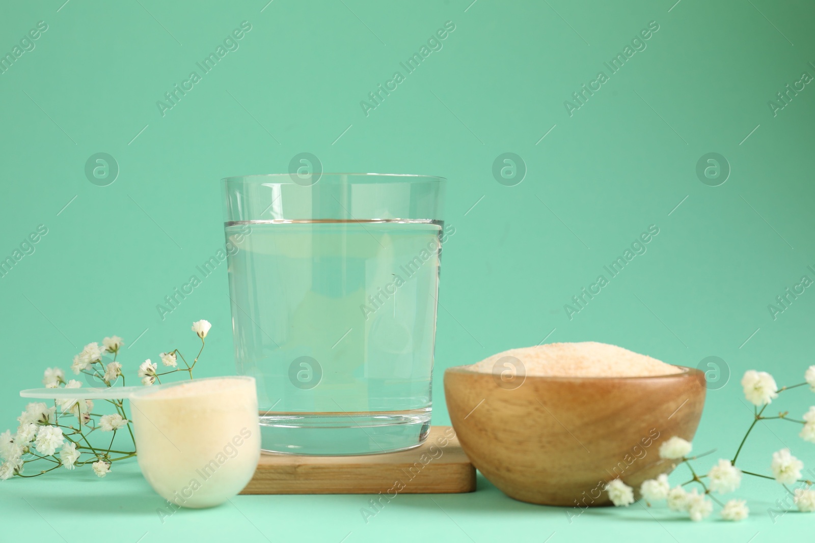 Collagen powder in bowl, scoop, glass of water and gypsophila flowers on turquoise background Photo of Collagen powder in bowl, scoop, glass of water and gypsophila flowers on turquoise background