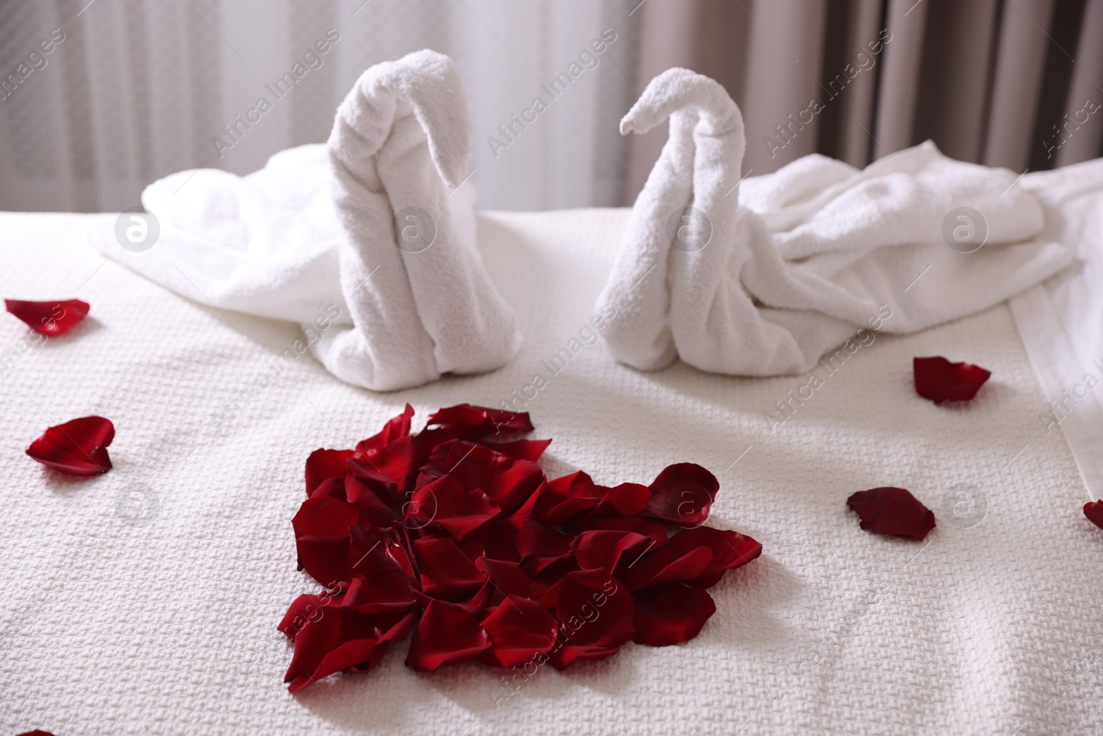 Heart of beautiful rose petals and swans made with towels on bed indoors Photo of Heart of beautiful rose petals and swans made with towels on bed indoors