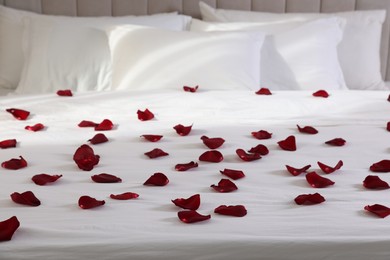 Photo of Many beautiful rose petals on bed indoors