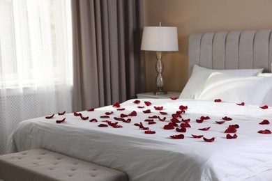Many beautiful rose petals on bed indoors