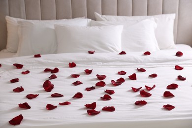 Photo of Many beautiful rose petals on bed indoors