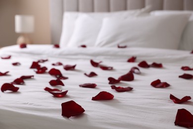Photo of Many beautiful rose petals on bed indoors, closeup
