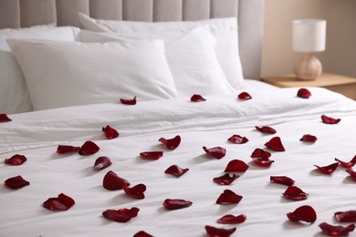 Photo of Many beautiful rose petals on bed indoors