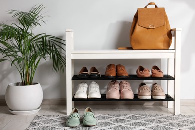 Photo of Stand with different stylish shoes, bag and houseplant indoors