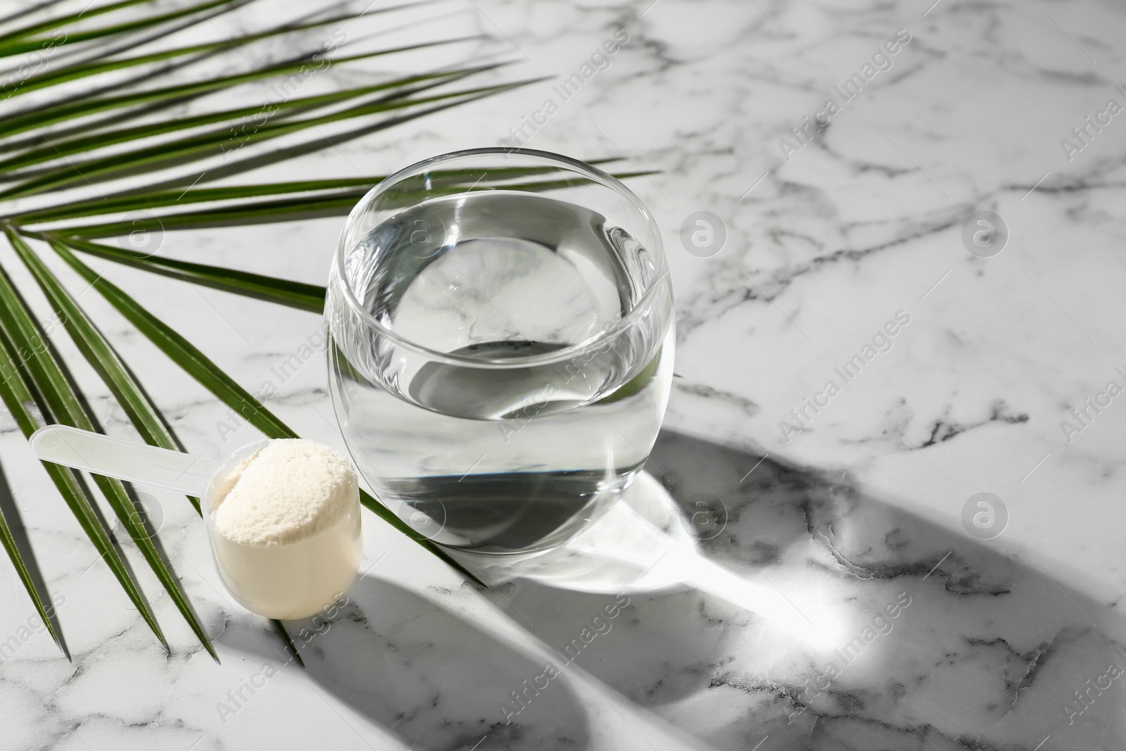 Collagen powder in scoop, glass of water and palm leaf on light marble table Photo of Collagen powder in scoop, glass of water and palm leaf on light marble table