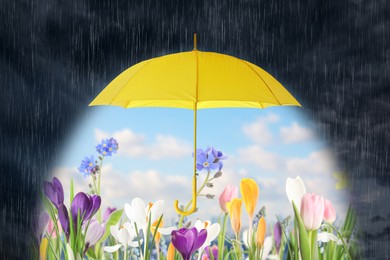 Image of Open yellow umbrella revealing bright flowers under blue sky during heavy rainstorm