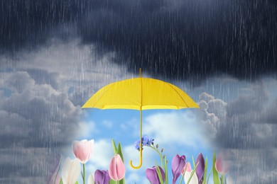 Image of Open yellow umbrella revealing bright flowers under blue sky during heavy rainstorm