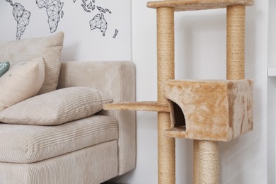 Photo of Stylish cat tree and sofa in living room