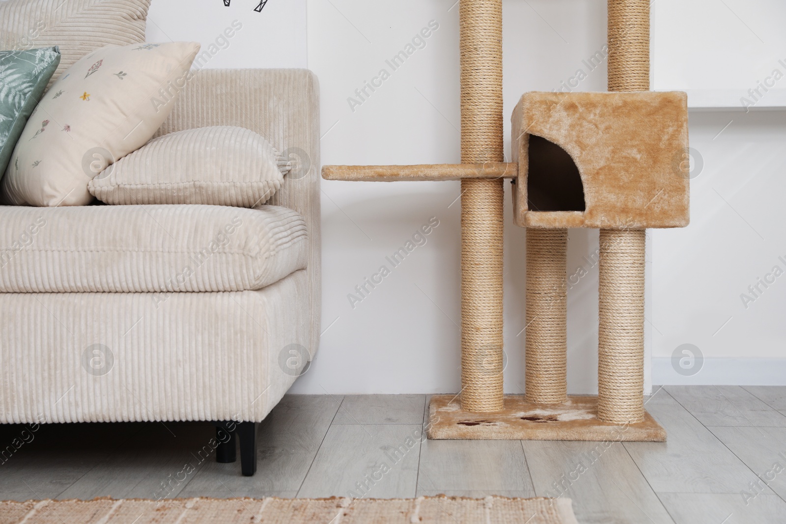 Stylish cat tree and sofa in living room Photo of Stylish cat tree and sofa in living room