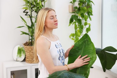 Photo of Feng shui. Young woman surrounded by houseplants at home