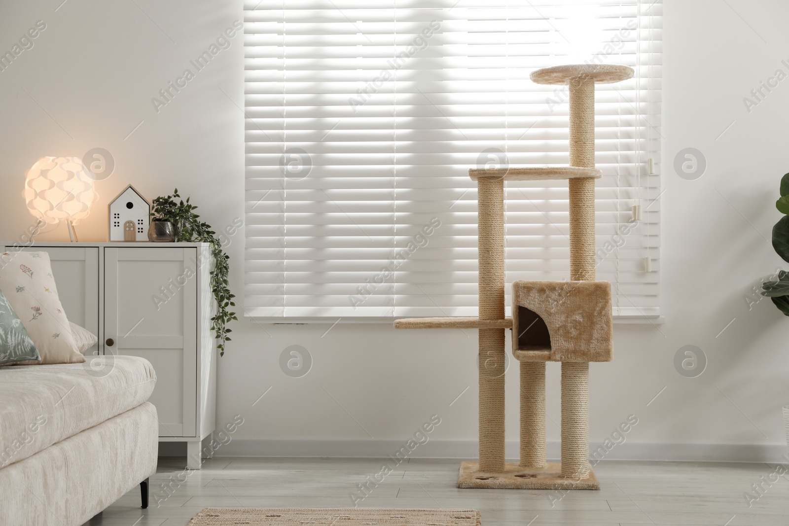Stylish cat tree and chest of drawers in living room Photo of Stylish cat tree and chest of drawers in living room