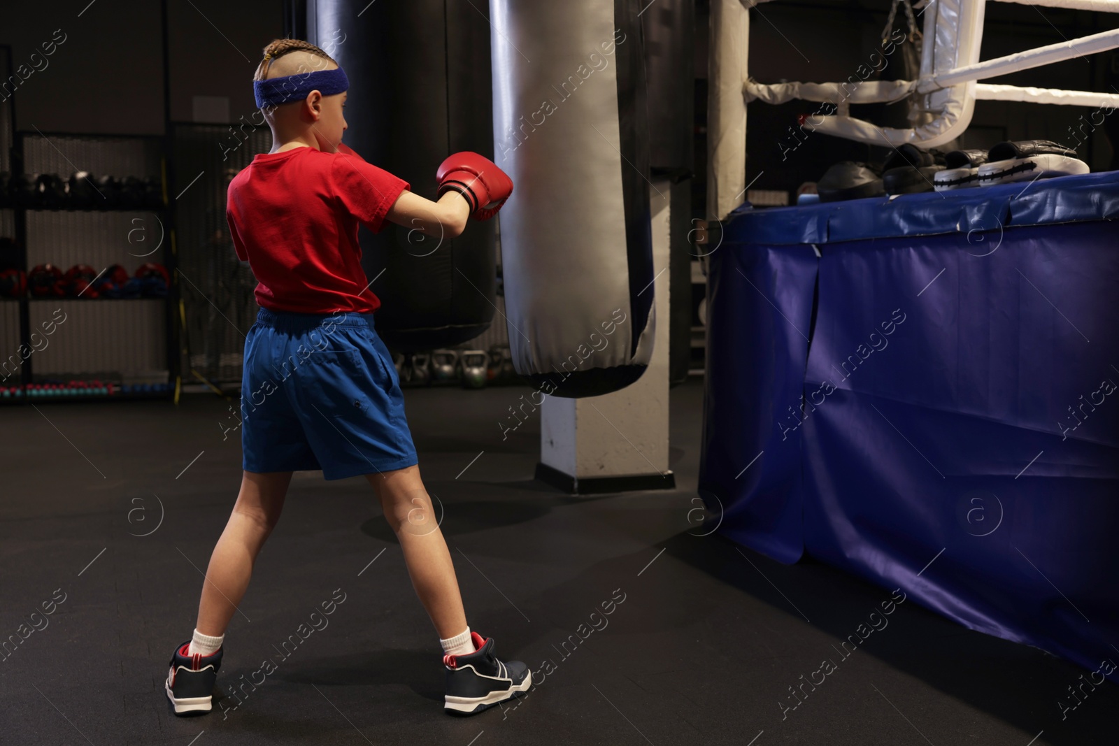 Photo of Boy in protective gloves exercising with punching bag during boxing practice at sport center. Space for text