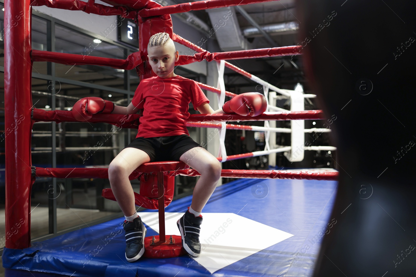 Photo of Boy sitting in his corner of boxing ring